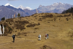 Druk-Path-Trek1